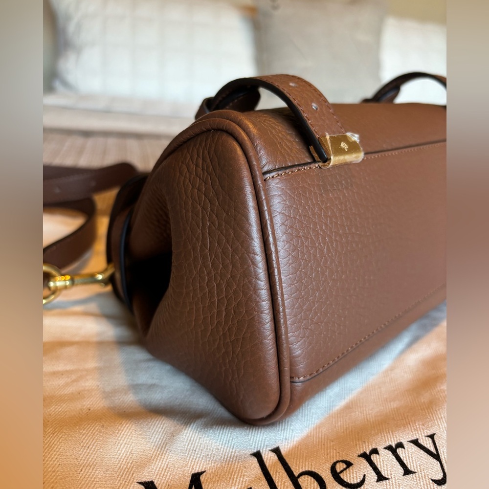 Mulberry Mini Alexa - Picture 6 of 11